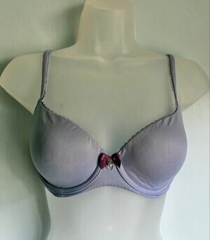 Victoria's Secret Body by Victoria Demi Bra Blue 32D Casual Everyday